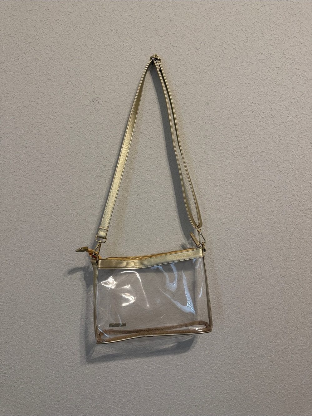 Transparent Crossbody Bag with Gold Trim